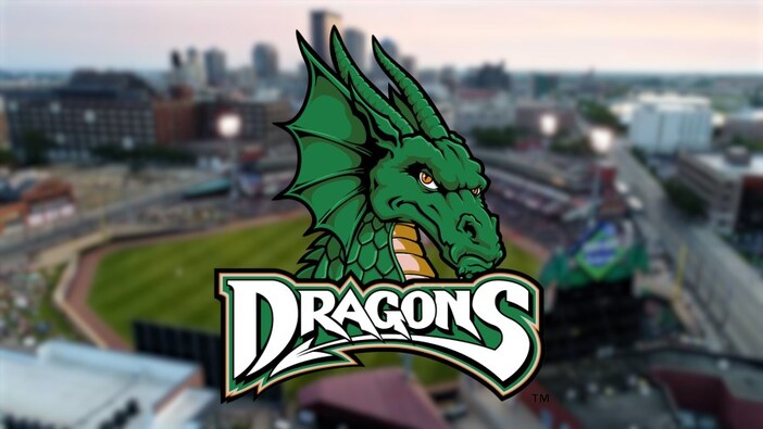 Dragons Logo Dragons Logo